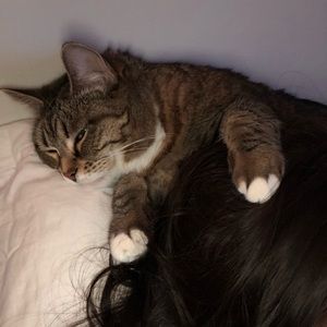 Meet your Posher, Brian